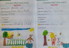 Projekt „Včelky”