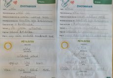 Projekt „Včelky”