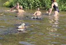IMG_1803.jpeg