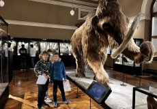 Národní Muzeum
