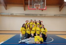 Basketbal