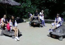 Výlet do ZOO Výlet do ZOO