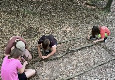 Stavba lodí