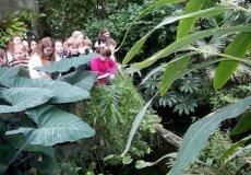 Botanická zahrada PřF UK Botanická zahrada PřF UK
