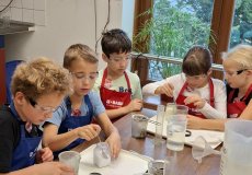 NTM Kidslab 15 