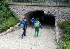 Stromovka - projektový den Stromovka - projektový den