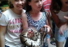 Krokodýlí zoo Krokodýlí zoo
