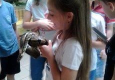 Krokodýlí zoo Krokodýlí zoo