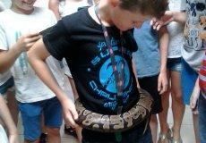 Krokodýlí zoo Krokodýlí zoo