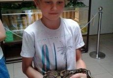 Krokodýlí zoo Krokodýlí zoo