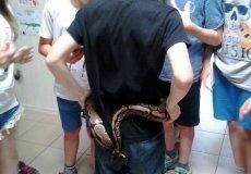 Krokodýlí zoo Krokodýlí zoo