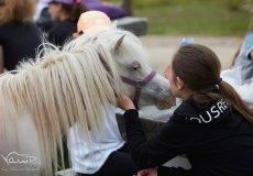 ŠvP 2018 ŠvP 2018