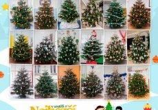 Soutěž o nejkrásněji nazdobený vánoční stromeček Soutěž o nejkrásněji nazdobený vánoční stromeček