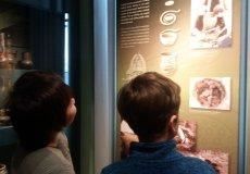 Muzeum Prahy Muzeum Prahy