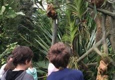 Botanická zahrada Botanická zahrada