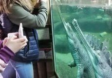 ZOO.jpg ZOO.jpg