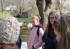 ZOO.jpg ZOO.jpg