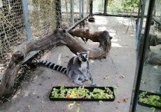 ZOO.jpg ZOO.jpg
