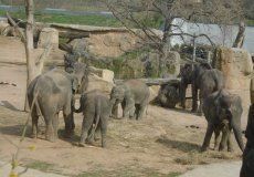 Projektový den - návštěva zoologické zahrady Projektový den - návštěva zoologické zahrady