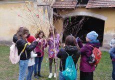 Cífkův statek Třebíz (11).jpg Cífkův statek Třebíz (11).jpg